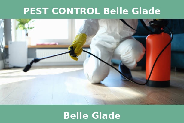PEST CONTROL Belle Glade